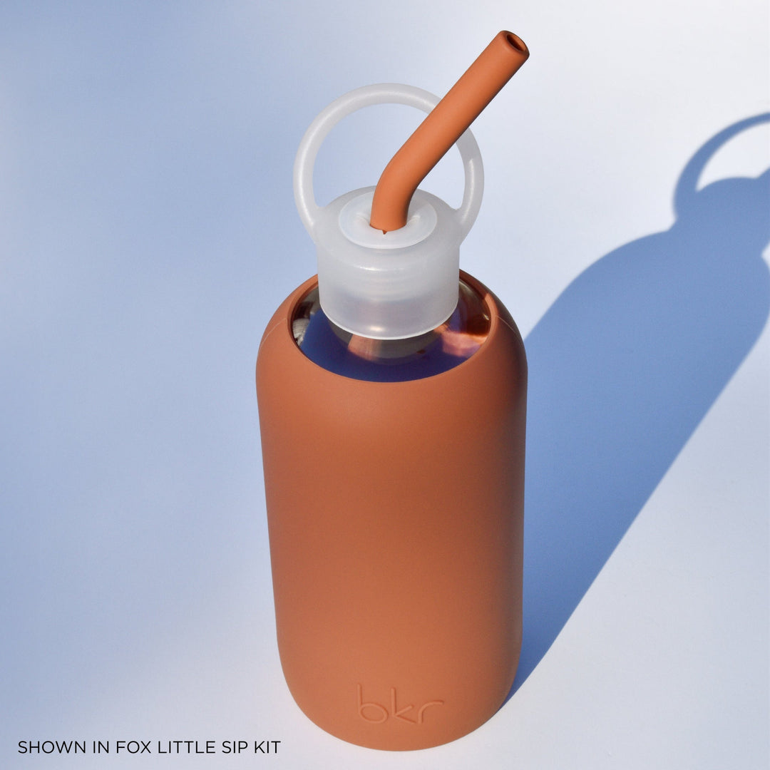 bkr Water Bottle Accessory FIRESIDE LITTLE BOTTLE STRAWS 500ML (16OZ) SET OF THREE